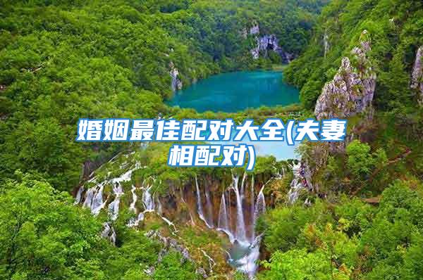 婚姻最佳配对大全(夫妻相配对)