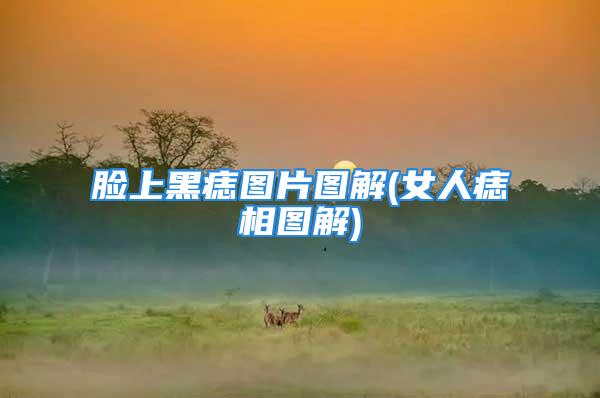 脸上黑痣图片图解(女人痣相图解)