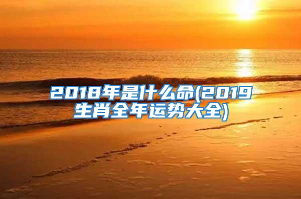 2018年是什么命(2019生肖全年运势大全)