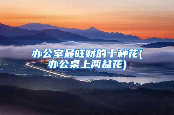 办公室最旺财的十种花(办公桌上两盆花)