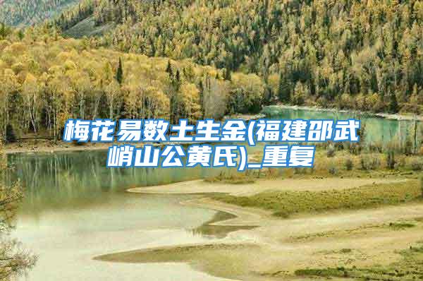 梅花易数土生金(福建邵武峭山公黄氏)_重复