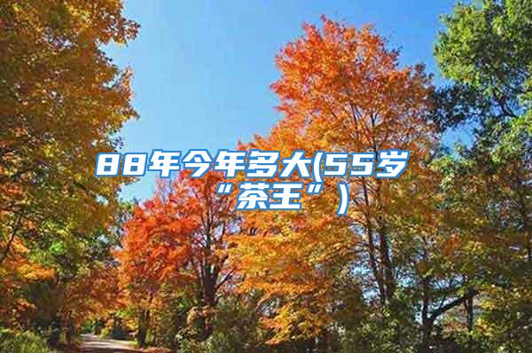 88年今年多大(55岁“茶王”)