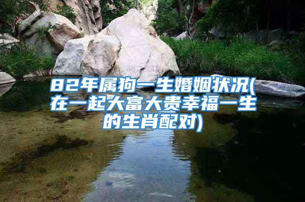 82年属狗一生婚姻状况(在一起大富大贵幸福一生的生肖配对)