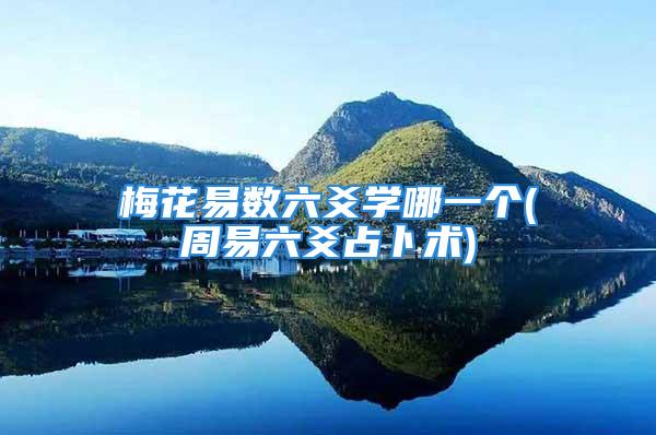 梅花易数六爻学哪一个(周易六爻占卜术)