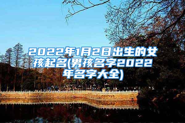 2022年1月2日出生的女孩起名(男孩名字2022年名字大全)