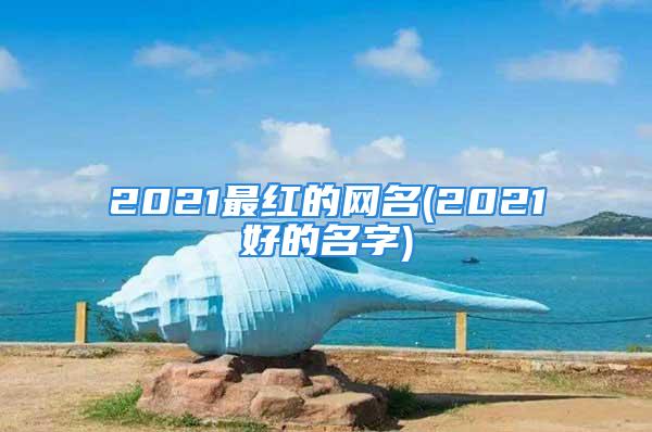 2021最红的网名(2021好的名字)