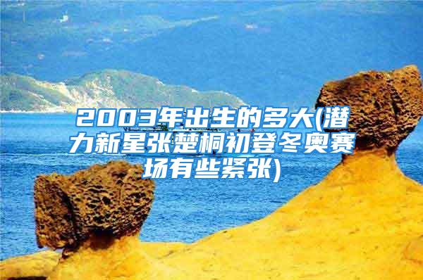 2003年出生的多大(潜力新星张楚桐初登冬奥赛场有些紧张)