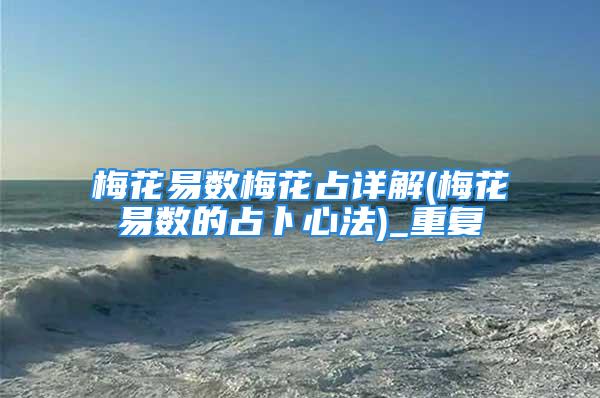 梅花易数梅花占详解(梅花易数的占卜心法)_重复