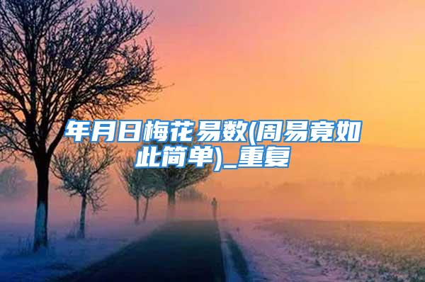 年月日梅花易数(周易竟如此简单)_重复