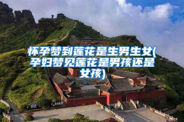 怀孕梦到莲花是生男生女(孕妇梦见莲花是男孩还是女孩)