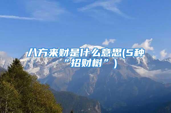 八方来财是什么意思(5种“招财树”)