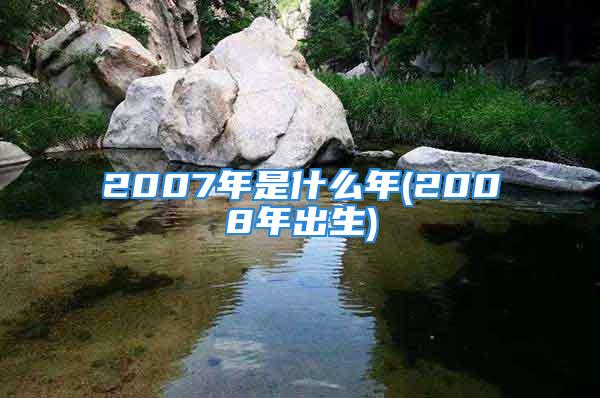 2007年是什么年(2008年出生)