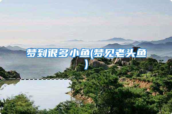 梦到很多小鱼(梦见老头鱼)
