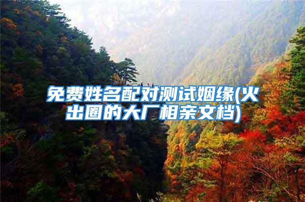免费姓名配对测试姻缘(火出圈的大厂相亲文档)