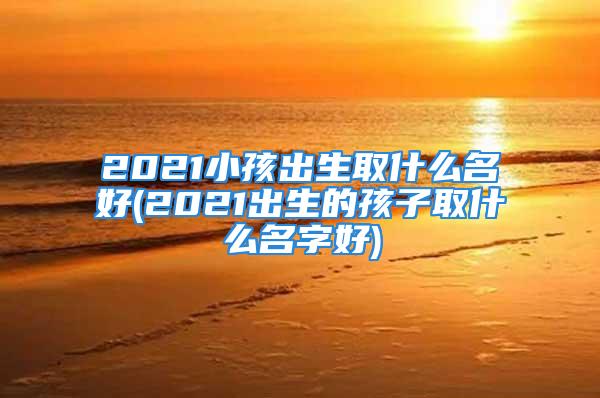 2021小孩出生取什么名好(2021出生的孩子取什么名字好)
