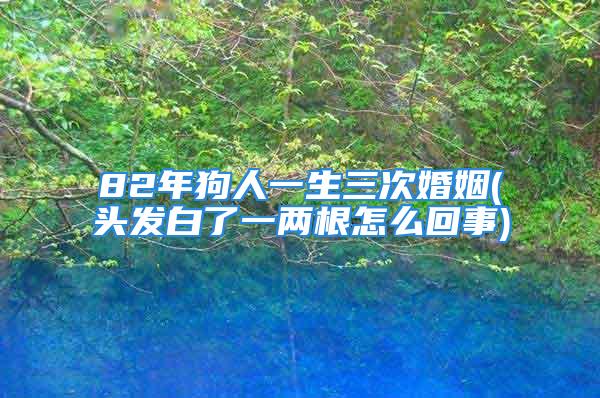 82年狗人一生三次婚姻(头发白了一两根怎么回事)