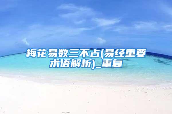 梅花易数三不占(易经重要术语解析)_重复