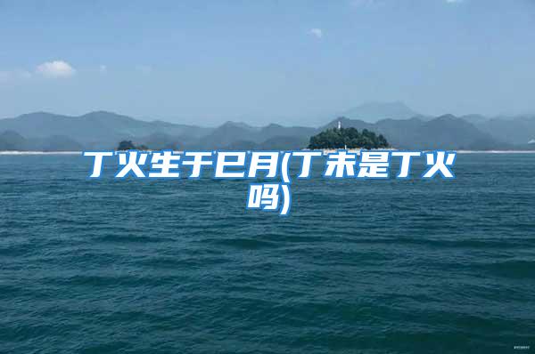 丁火生于巳月(丁未是丁火吗)