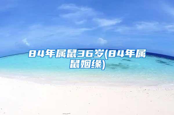 84年属鼠36岁(84年属鼠姻缘)