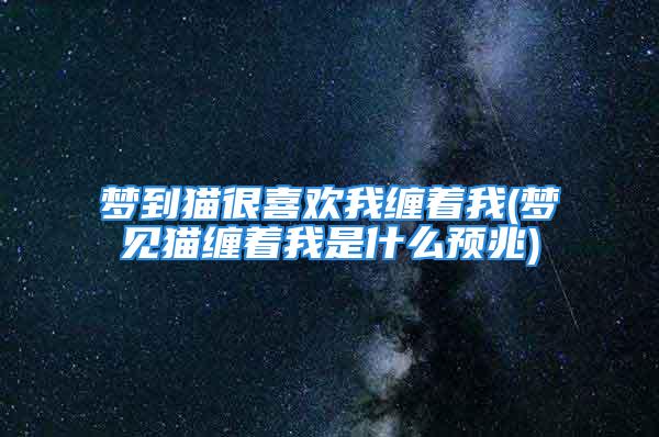 梦到猫很喜欢我缠着我(梦见猫缠着我是什么预兆)