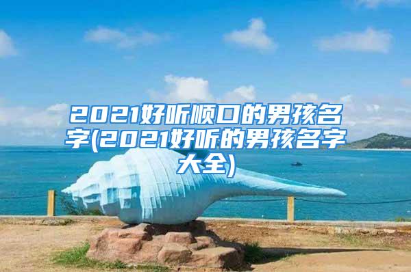 2021好听顺口的男孩名字(2021好听的男孩名字大全)