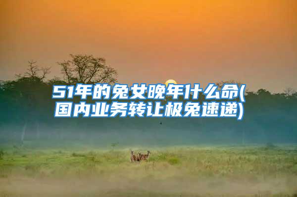 51年的兔女晚年什么命(国内业务转让极兔速递)