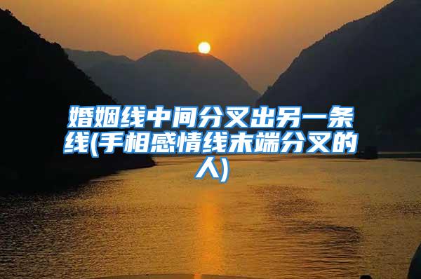婚姻线中间分叉出另一条线(手相感情线末端分叉的人)