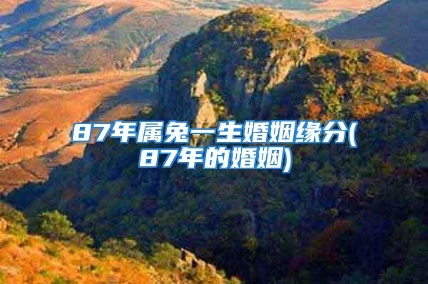 87年属兔一生婚姻缘分(87年的婚姻)