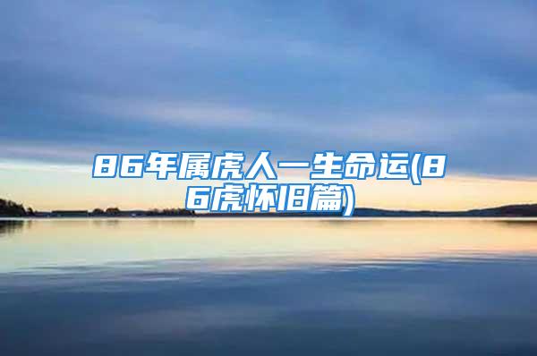 86年属虎人一生命运(86虎怀旧篇)