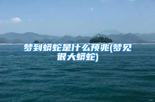 梦到蟒蛇是什么预兆(梦见很大蟒蛇)