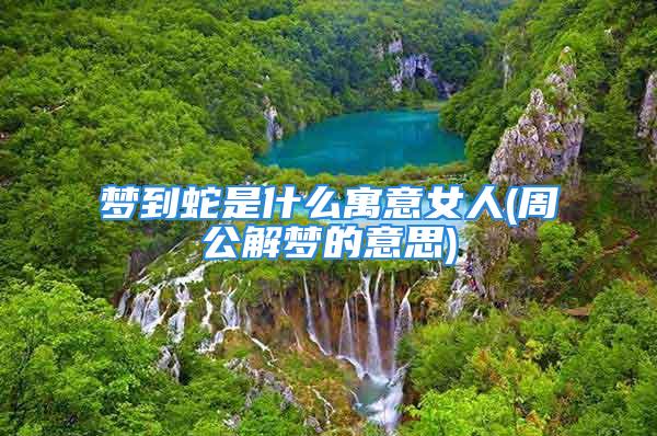 梦到蛇是什么寓意女人(周公解梦的意思)