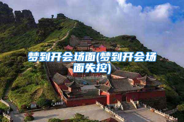 梦到开会场面(梦到开会场面失控)
