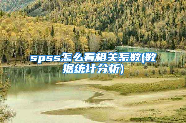 spss怎么看相关系数(数据统计分析)
