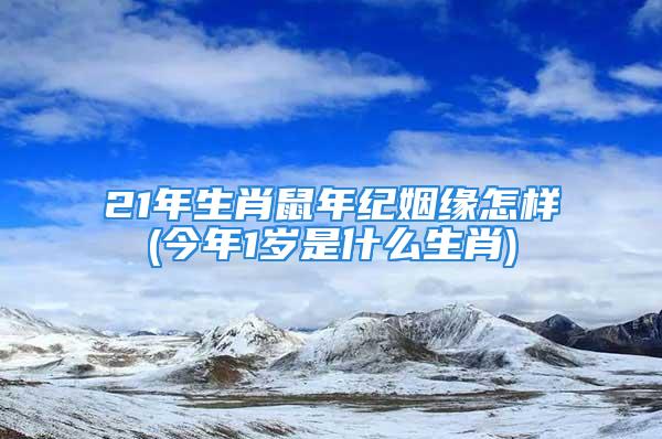 21年生肖鼠年纪姻缘怎样(今年1岁是什么生肖)