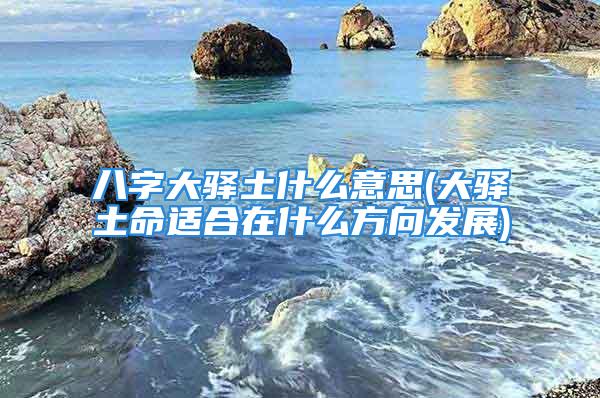 八字大驿土什么意思(大驿土命适合在什么方向发展)