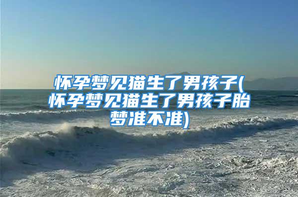 怀孕梦见猫生了男孩子(怀孕梦见猫生了男孩子胎梦准不准)