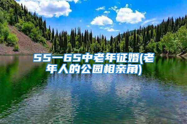 55一65中老年征婚(老年人的公园相亲角)