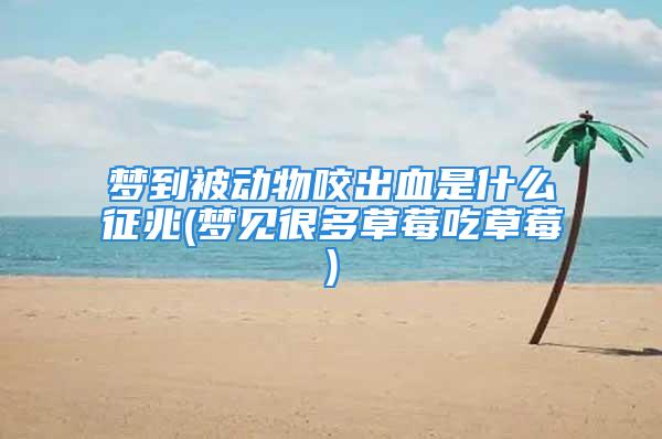 梦到被动物咬出血是什么征兆(梦见很多草莓吃草莓)