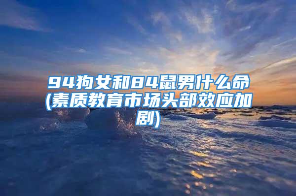 94狗女和84鼠男什么命(素质教育市场头部效应加剧)