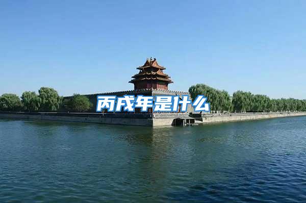 丙戌年是什么