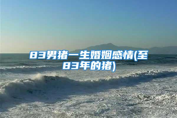 83男猪一生婚姻感情(至83年的猪)
