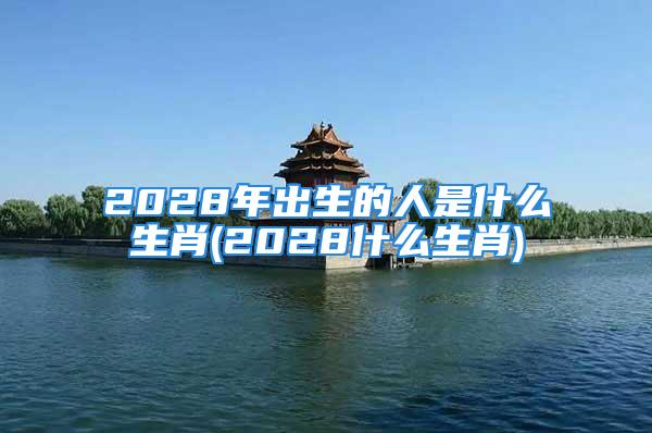 2028年出生的人是什么生肖(2028什么生肖)