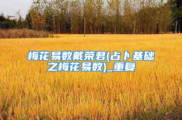 梅花易数戴荣君(占卜基础之梅花易数)_重复