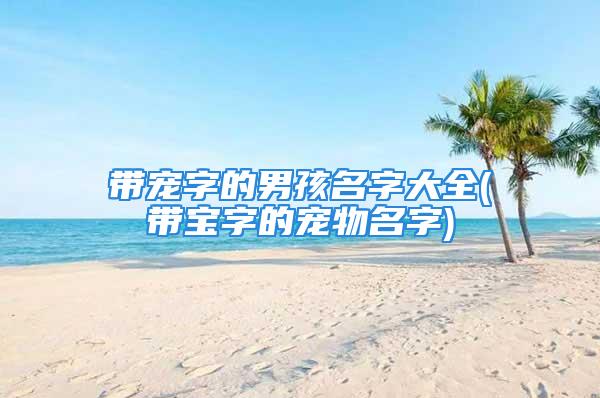 带宠字的男孩名字大全(带宝字的宠物名字)