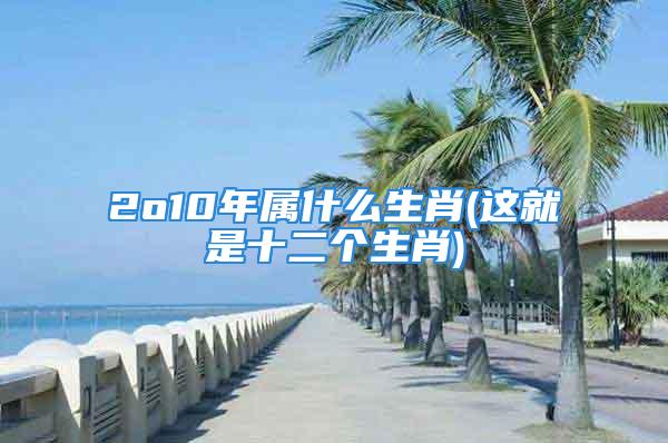 2o10年属什么生肖(这就是十二个生肖)