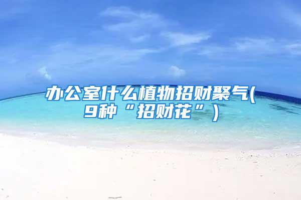 办公室什么植物招财聚气(9种“招财花”)