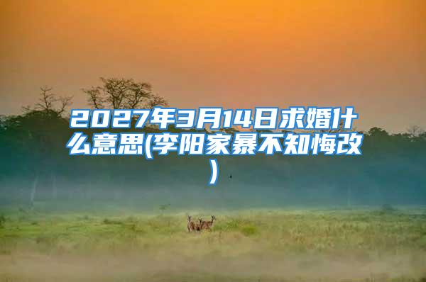 2027年3月14日求婚什么意思(李阳家暴不知悔改)