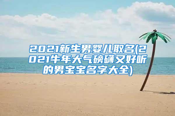 2021新生男婴儿取名(2021牛年大气磅礴又好听的男宝宝名字大全)