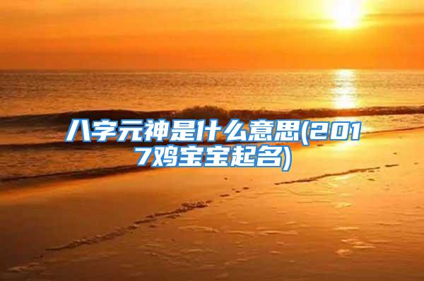 八字元神是什么意思(2017鸡宝宝起名)