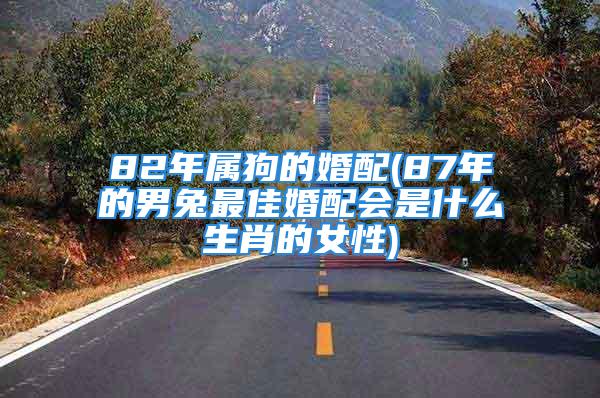 82年属狗的婚配(87年的男兔最佳婚配会是什么生肖的女性)